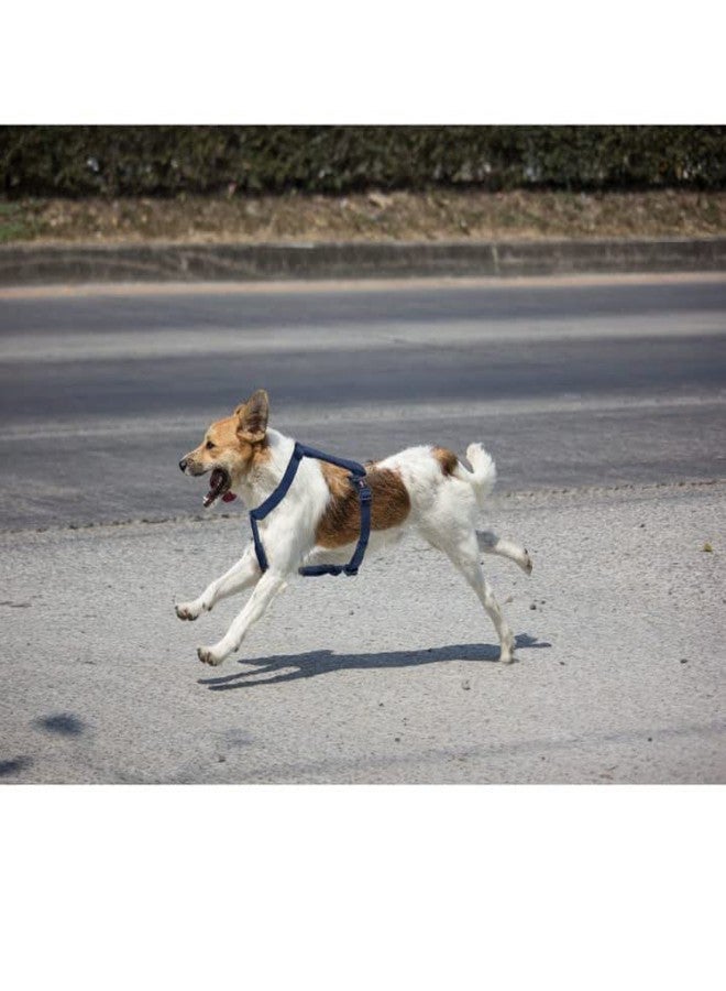 Trixie Premium H-Harness Belt for Dogs, Stylish Design, Adjustable Webbing Tape, Strain Relief, Lightweight & Adjustable Straps (S-M, Indigo) - Image 5